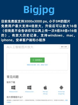 APP