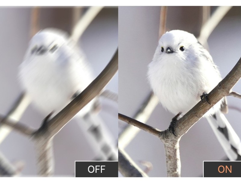 ��ʿ���