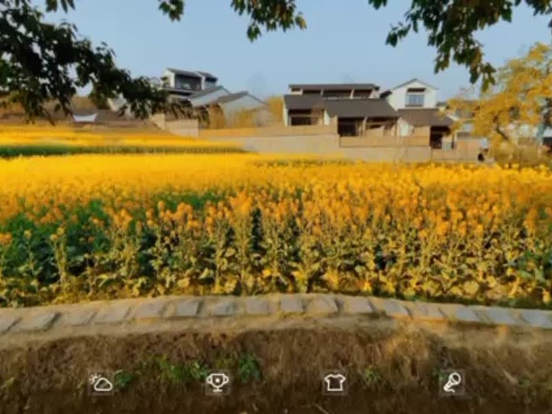 ���ֻ��������ߵ���