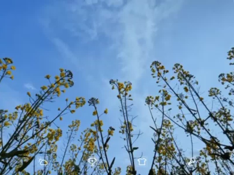 ���ֻ��������ߵ���