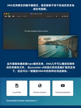 APP