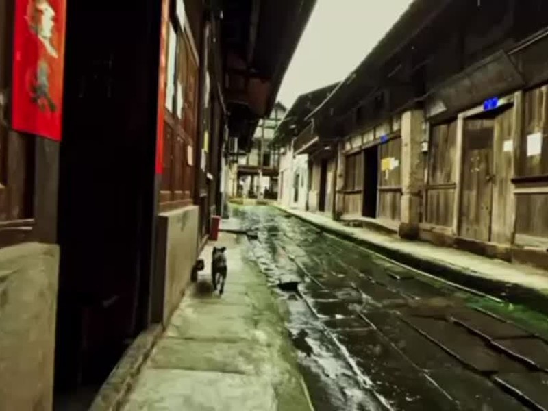 ���ֻ��������ߵ���