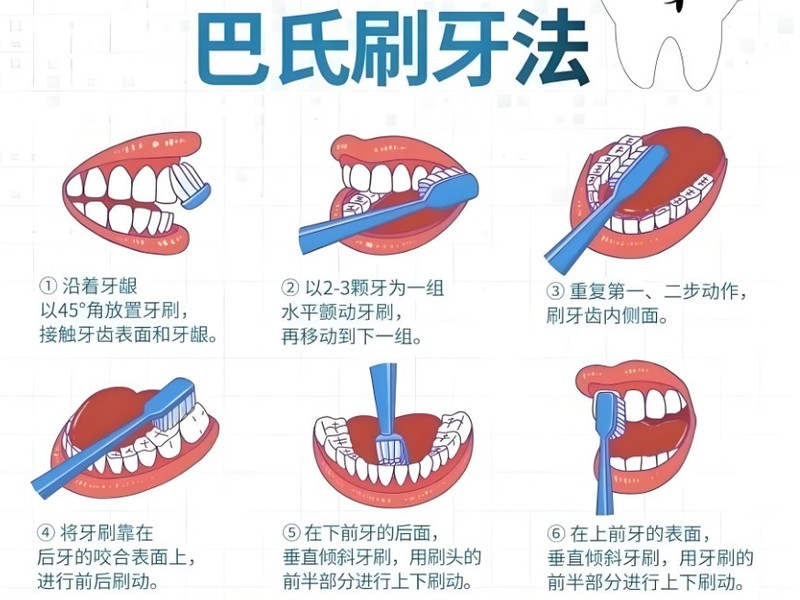 ���ɨ��綯��ˢ