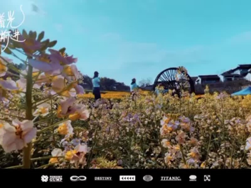 ���ֻ��������ߵ���