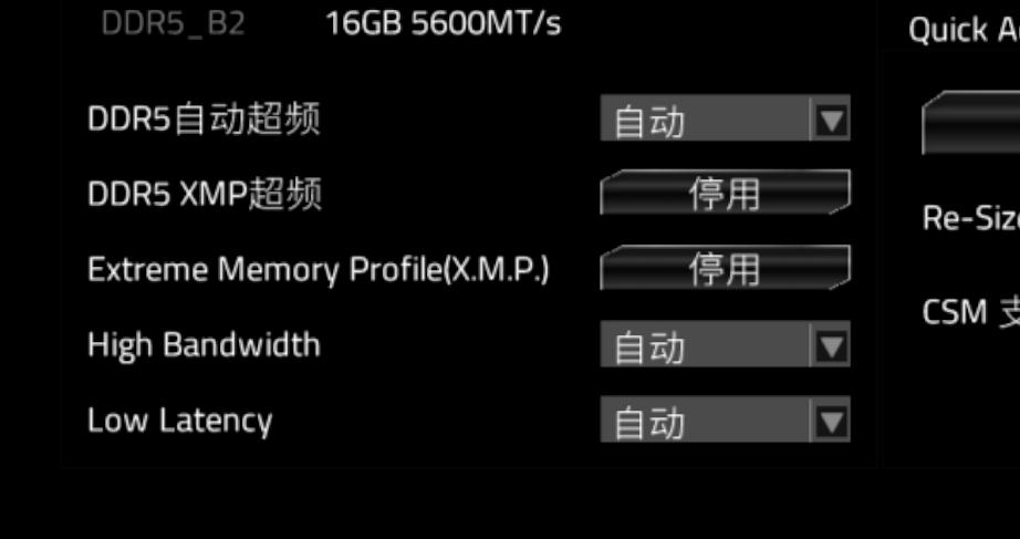 CPU
