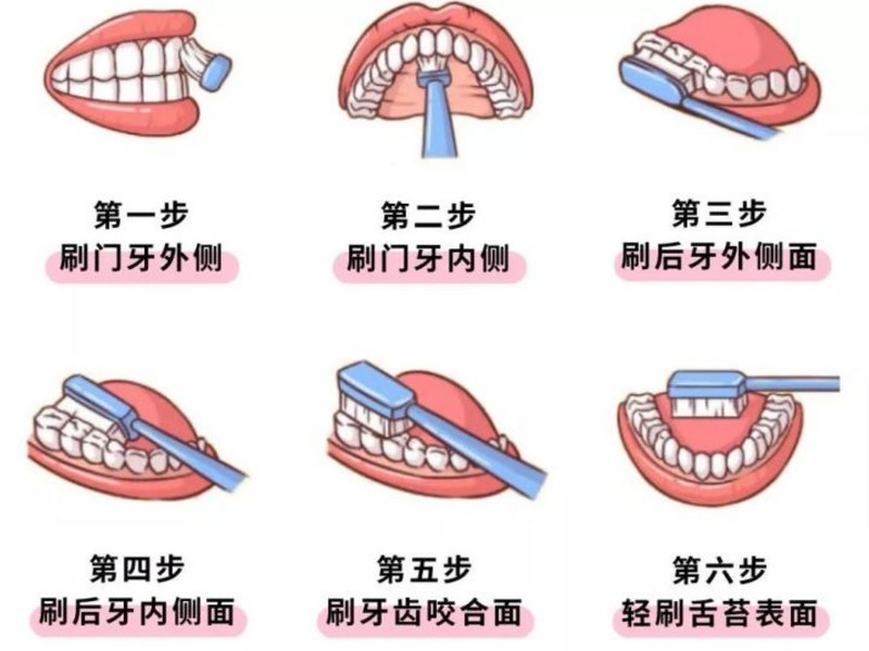 �綯��ˢ