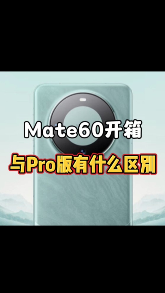 ��ΪMate 60