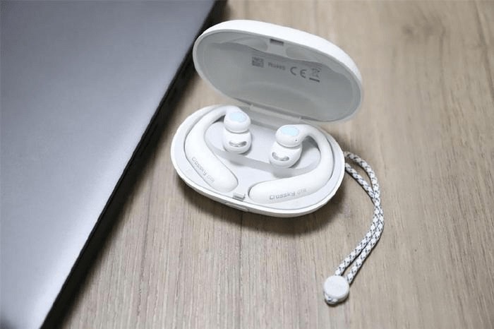 ����ʽ����