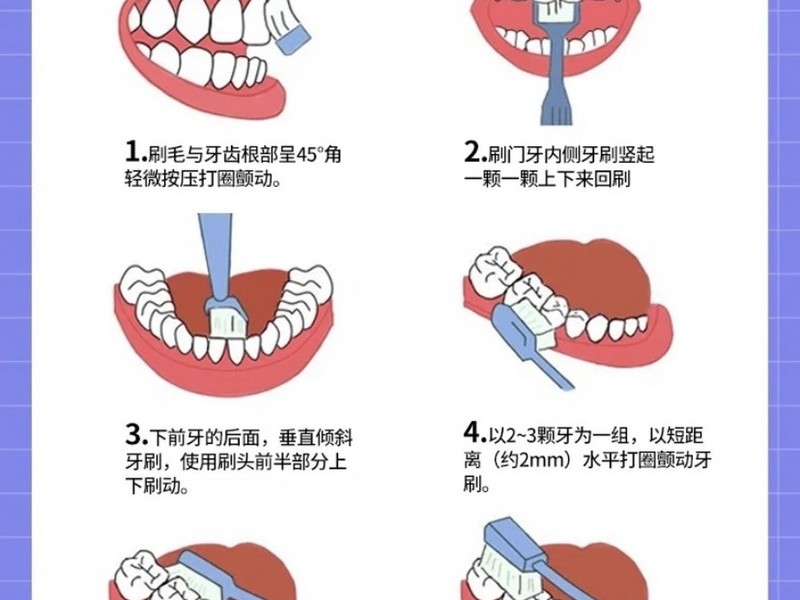 ���ɨ��綯��ˢ