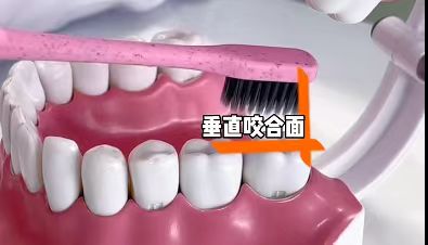 ���ɨ��綯��ˢ