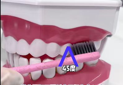 ���ɨ��綯��ˢ
