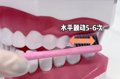 ���ɨ��綯��ˢ