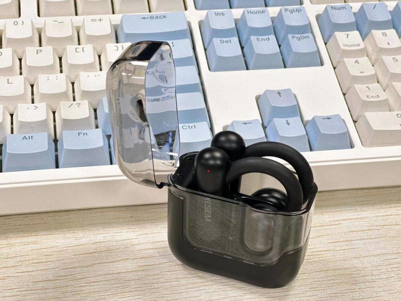 ����ʽ����