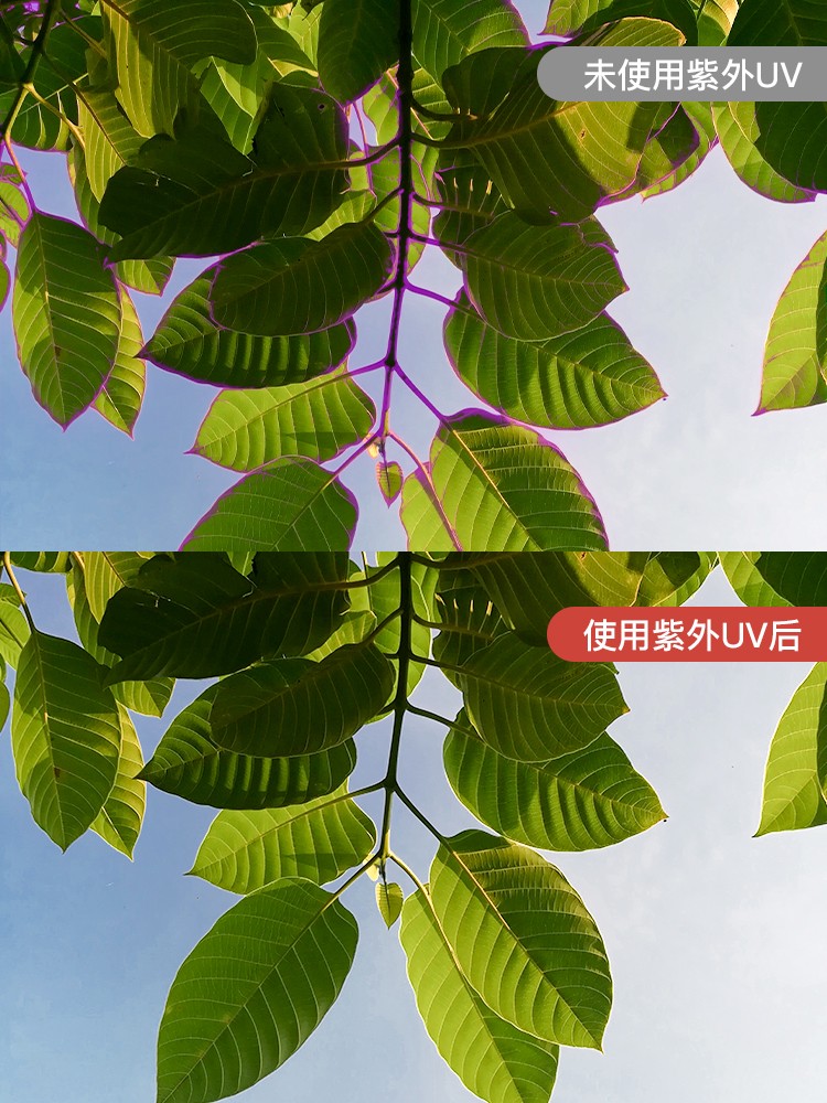 ���UV��