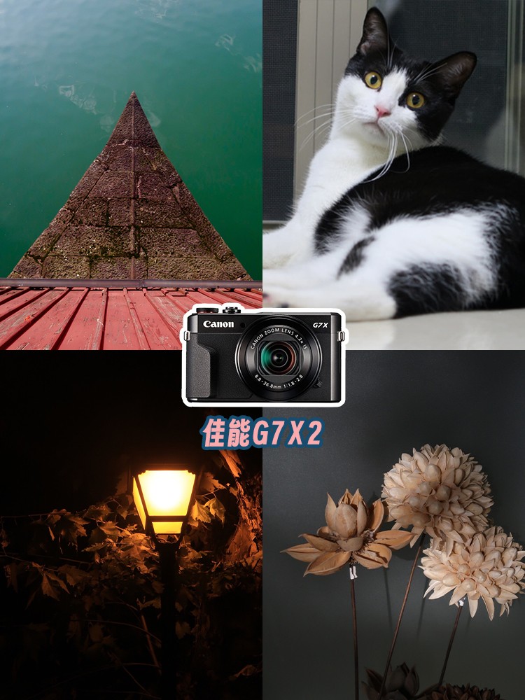���ܿ�Ƭ��