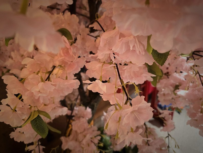 �嶯���S24Ultra���������ü���