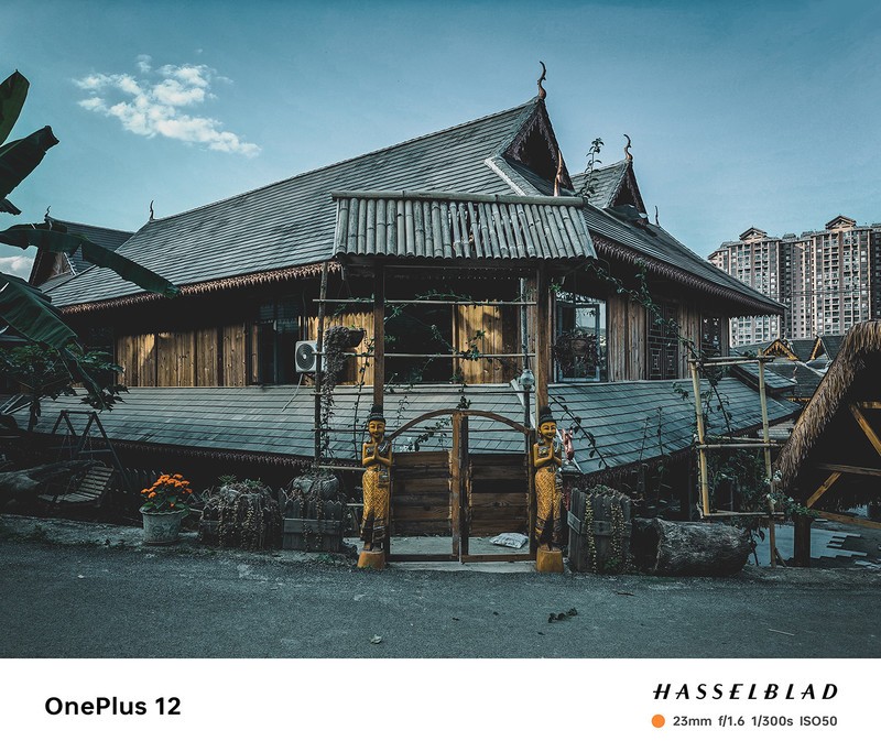 ����һ��12ȥ�����Լ���һ�����������