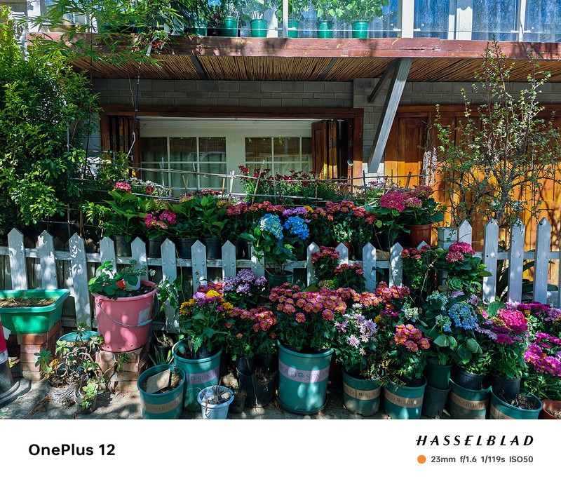 ����һ��12ȥ�����Լ���һ�����������