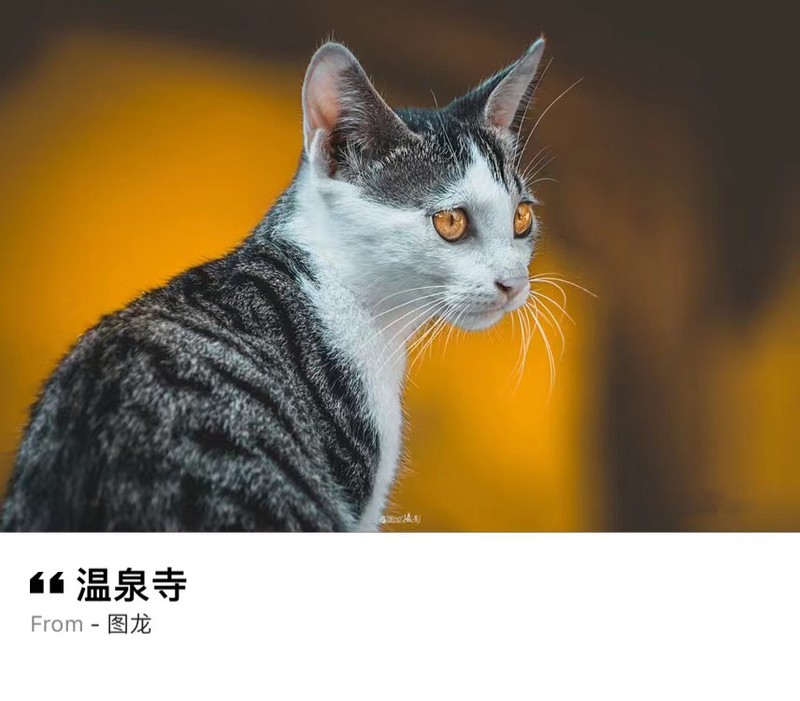 ���ֻ��������ߵ���