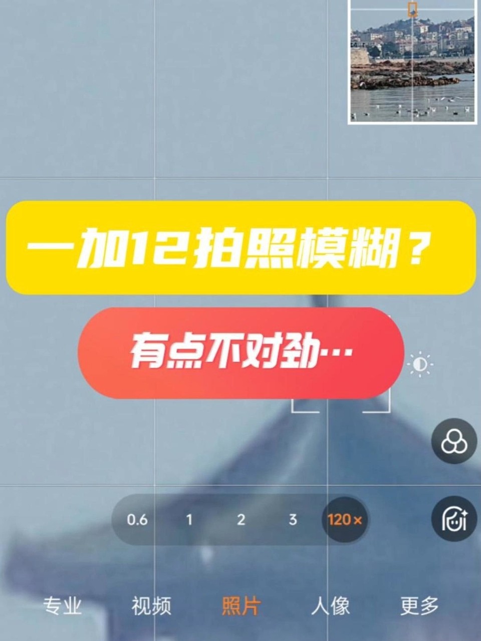 ���ճ�������������һ��12����������