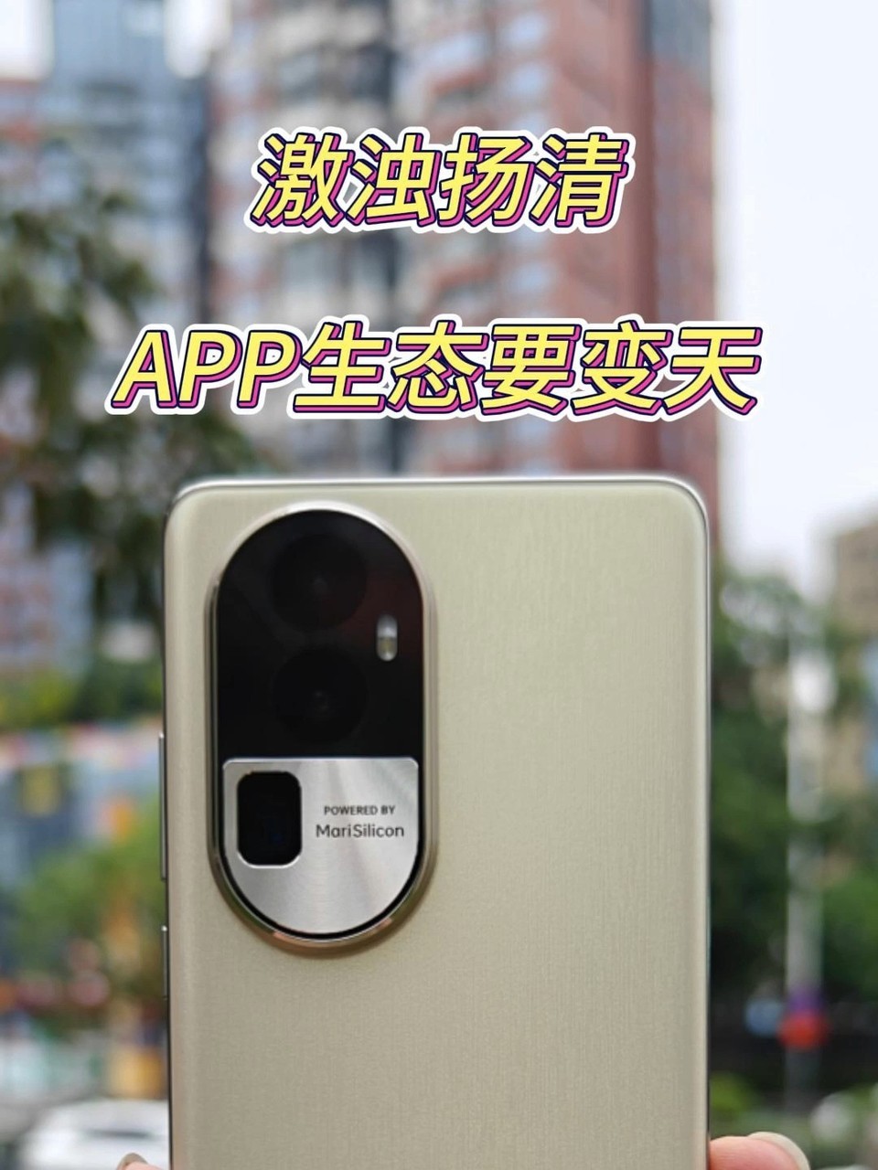 APP