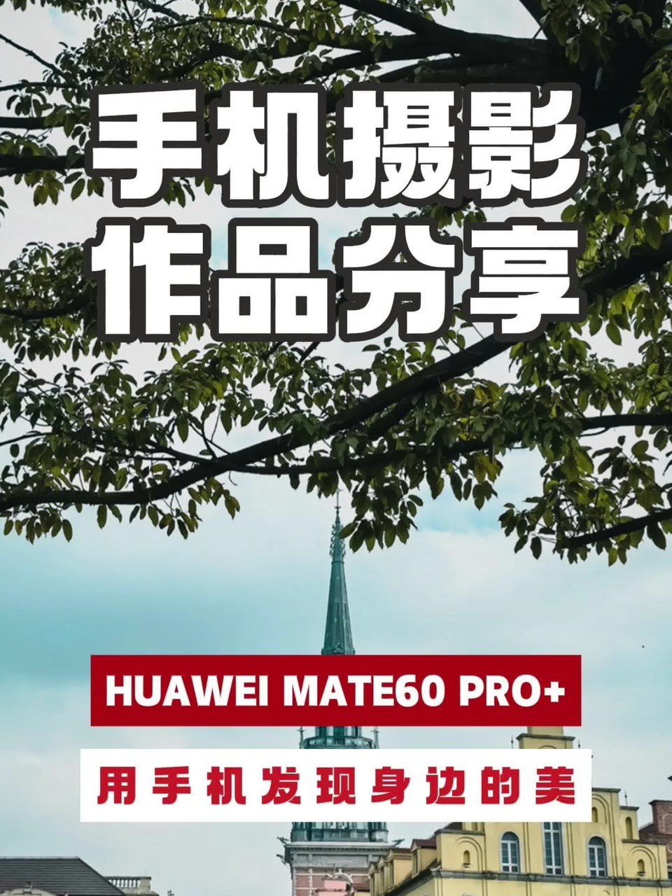 ��ΪMate 60